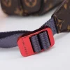 Louis Vuitton Model: 43843 Size: 25x18x5cm - Image 6