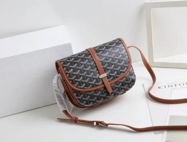 Goyard Messenger Bag Size:22*17*7cm - Image 10