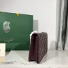 Alexandre Chain Bag Size: 24*15*6cm - Image 9
